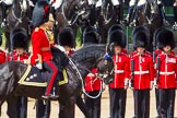 The Colonel's Review 2013: The Non-Royal Colonels, Colonel Coldstream Guards General Sir James Bucknall and Gold Stick in Waiting and Colonel Life Guards, Field Marshal the Lord Guthrie of Craigiebank,  during the Inspection of the Line..
Horse Guards Parade, Westminster,
London SW1,

United Kingdom,
on 08 June 2013 at 11:03, image #344