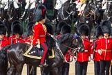 The Colonel's Review 2013: The Non-Royal Colonels, Colonel Coldstream Guards General Sir James Bucknall and Gold Stick in Waiting and Colonel Life Guards, Field Marshal the Lord Guthrie of Craigiebank,  during the Inspection of the Line..
Horse Guards Parade, Westminster,
London SW1,

United Kingdom,
on 08 June 2013 at 11:03, image #345