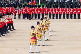 The Colonel's Review 2013: The Massed Band Troop begins with the slow march - the Waltz from Les Huguenots..
Horse Guards Parade, Westminster,
London SW1,

United Kingdom,
on 08 June 2013 at 11:08, image #423