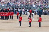 The Colonel's Review 2013: Colour Sergeant R J Heath, Welsh Guards, with the two (unfortunately unnamed) sentries..
Horse Guards Parade, Westminster,
London SW1,

United Kingdom,
on 08 June 2013 at 11:09, image #435