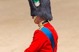 The Colonel's Review 2013: HRH The Prince of Wales, Colonel Welsh  Guards..
Horse Guards Parade, Westminster,
London SW1,

United Kingdom,
on 08 June 2013 at 11:10, image #436