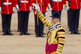 The Colonel's Review 2013: Drum Major Tony Taylor, Coldstream Guards..
Horse Guards Parade, Westminster,
London SW1,

United Kingdom,
on 08 June 2013 at 11:10, image #444