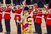 The Colonel's Review 2013: Senior Drum Major Matthew Betts, Coldstream Guards..
Horse Guards Parade, Westminster,
London SW1,

United Kingdom,
on 08 June 2013 at 11:11, image #449