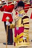 The Colonel's Review 2013: Senior Drum Major Matthew Betts, Coldstream Guards..
Horse Guards Parade, Westminster,
London SW1,

United Kingdom,
on 08 June 2013 at 11:11, image #450