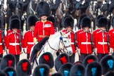 The Colonel's Review 2013: The Field Officer in Brigade Waiting, Lieutenant Colonel Dino Bossi, Welsh Guards..
Horse Guards Parade, Westminster,
London SW1,

United Kingdom,
on 08 June 2013 at 11:15, image #478