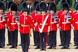 The Colonel's Review 2013: Captain F O Lloyd-George gives the orders for No. 1 Guard (Escort for the Colour),1st Battalion Welsh Guards to move into close order..
Horse Guards Parade, Westminster,
London SW1,

United Kingdom,
on 08 June 2013 at 11:15, image #480