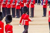 The Colonel's Review 2013: No. 1 Guard the Regimental Sergeant Major, WO1 Martin Topps, Welsh Guards marches forward followed by the Ensign..
Horse Guards Parade, Westminster,
London SW1,

United Kingdom,
on 08 June 2013 at 11:18, image #498