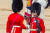 The Colonel's Review 2013: No. 1 Guard the Regimental Sergeant Major, WO1 Martin Topps, Welsh Guards saluting the Colour with his sword..
Horse Guards Parade, Westminster,
London SW1,

United Kingdom,
on 08 June 2013 at 11:19, image #503
