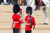 The Colonel's Review 2013: The Colour has been handed over from Colour Sergeant R J Heath, Welsh Guard to the Regimental Sergeant Major, WO1 Martin Topps, Welsh Guards. He now presents the Colour to the Ensign, Ensign, Second Lieutenant Joel Dinwiddle..
Horse Guards Parade, Westminster,
London SW1,

United Kingdom,
on 08 June 2013 at 11:19, image #505