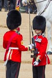 The Colonel's Review 2013: The Colour has been handed over from Colour Sergeant R J Heath, Welsh Guard to the Regimental Sergeant Major, WO1 Martin Topps, Welsh Guards. He now presents the Colour to the Ensign, Ensign, Second Lieutenant Joel Dinwiddle..
Horse Guards Parade, Westminster,
London SW1,

United Kingdom,
on 08 June 2013 at 11:19, image #506