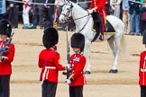 The Colonel's Review 2013: The Colour has been handed over from Colour Sergeant R J Heath, Welsh Guard to the Regimental Sergeant Major, WO1 Martin Topps, Welsh Guards. He now presents the Colour to the Ensign, Ensign, Second Lieutenant Joel Dinwiddle..
Horse Guards Parade, Westminster,
London SW1,

United Kingdom,
on 08 June 2013 at 11:19, image #507