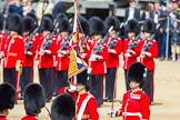 The Colonel's Review 2013: The Ensign, Second Lieutenant Joel Dinwiddle, in posession of the Colour, turns around to No. 1 Guard, now the Escort to the Colour..
Horse Guards Parade, Westminster,
London SW1,

United Kingdom,
on 08 June 2013 at 11:20, image #526