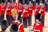 The Colonel's Review 2013: No. 1 Guard, the Escort to the Colour, presents arms as the Ensign turns toward them with the Colour..
Horse Guards Parade, Westminster,
London SW1,

United Kingdom,
on 08 June 2013 at 11:20, image #527