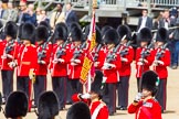 The Colonel's Review 2013: No. 1 Guard, the Escort to the Colour, presents arms as the Ensign turns toward them with the Colour..
Horse Guards Parade, Westminster,
London SW1,

United Kingdom,
on 08 June 2013 at 11:20, image #529