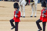 The Colonel's Review 2013: The second (unnamed) sentry, presenting arms whilst the National Anthem is played..
Horse Guards Parade, Westminster,
London SW1,

United Kingdom,
on 08 June 2013 at 11:20, image #532