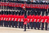 The Colonel's Review 2013: The Colour Party joins the Escort to the Colour, here Colour Sergeant, R J Heath, Welsh Guards, at the rear of the two lines of guardsmen..
Horse Guards Parade, Westminster,
London SW1,

United Kingdom,
on 08 June 2013 at 11:21, image #537