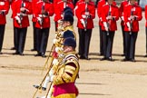 The Colonel's Review 2013: The five Drum Majors leading the Massed Bands as they are playing the Grenadiers Slow March..
Horse Guards Parade, Westminster,
London SW1,

United Kingdom,
on 08 June 2013 at 11:23, image #556