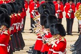 The Colonel's Review 2013: Tthe Massed Bands as they are playing the Grenadiers Slow March..
Horse Guards Parade, Westminster,
London SW1,

United Kingdom,
on 08 June 2013 at 11:23, image #560