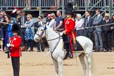 The Colonel's Review 2013.
Horse Guards Parade, Westminster,
London SW1,

United Kingdom,
on 08 June 2013 at 11:24, image #568