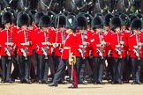 The Colonel's Review 2013: The Ensign troops the Colour along No. 4 Guard, Nijmegen Company Grenadier Guards..
Horse Guards Parade, Westminster,
London SW1,

United Kingdom,
on 08 June 2013 at 11:24, image #575