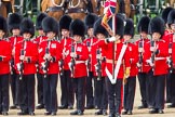 The Colonel's Review 2013: The Ensign, Second Lieutenant Joel Dinwiddle, and the Escort to the Colour,are back at their initial position, when they were the Escort for the Colour. The guardsmen are changing arms..
Horse Guards Parade, Westminster,
London SW1,

United Kingdom,
on 08 June 2013 at 11:27, image #589