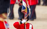 The Colonel's Review 2013: Close-up of the Ensign, Second Lieutenant Joel Dinwiddle, carrying the Colour during the March Past..
Horse Guards Parade, Westminster,
London SW1,

United Kingdom,
on 08 June 2013 at 11:33, image #628