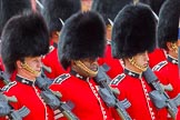 The Colonel's Review 2013: The Welsh Guards during the March Past..
Horse Guards Parade, Westminster,
London SW1,

United Kingdom,
on 08 June 2013 at 11:34, image #636