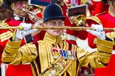 The Colonel's Review 2013: Drum Major D P Thomas, Grenadier Guards..
Horse Guards Parade, Westminster,
London SW1,

United Kingdom,
on 08 June 2013 at 11:36, image #652