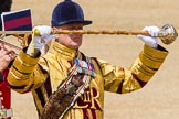 The Colonel's Review 2013: Drum Major Tony Taylor, Coldstream Guards,.
Horse Guards Parade, Westminster,
London SW1,

United Kingdom,
on 08 June 2013 at 11:37, image #658