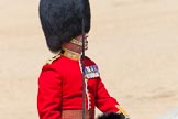 The Colonel's Review 2013: The Field Officer in Brigade Waiting, Lieutenant Colonel Dino Bossi, Welsh Guards, salutes Her Majesty before asking permission to march off..
Horse Guards Parade, Westminster,
London SW1,

United Kingdom,
on 08 June 2013 at 12:06, image #826
