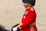 The Colonel's Review 2013: One of the Non-Royal Colonels, Colonel Coldstream Guards General Sir James Bucknall..
Horse Guards Parade, Westminster,
London SW1,

United Kingdom,
on 08 June 2013 at 12:08, image #838