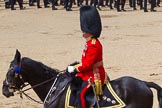 The Colonel's Review 2013: Major General Commanding the Household Division and General Officer Commanding London District, Major George Norton marching off..
Horse Guards Parade, Westminster,
London SW1,

United Kingdom,
on 08 June 2013 at 12:08, image #839