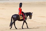 The Colonel's Review 2013.
Horse Guards Parade, Westminster,
London SW1,

United Kingdom,
on 08 June 2013 at 12:09, image #843