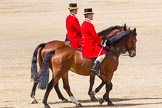 The Colonel's Review 2013.
Horse Guards Parade, Westminster,
London SW1,

United Kingdom,
on 08 June 2013 at 12:09, image #846
