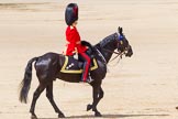 The Colonel's Review 2013.
Horse Guards Parade, Westminster,
London SW1,

United Kingdom,
on 08 June 2013 at 12:09, image #847