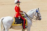 The Colonel's Review 2013.
Horse Guards Parade, Westminster,
London SW1,

United Kingdom,
on 08 June 2013 at 12:09, image #848