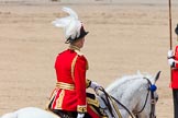 The Colonel's Review 2013.
Horse Guards Parade, Westminster,
London SW1,

United Kingdom,
on 08 June 2013 at 12:09, image #849