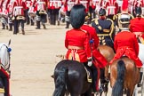 The Colonel's Review 2013.
Horse Guards Parade, Westminster,
London SW1,

United Kingdom,
on 08 June 2013 at 12:09, image #850
