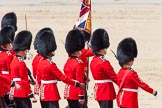 The Colonel's Review 2013.
Horse Guards Parade, Westminster,
London SW1,

United Kingdom,
on 08 June 2013 at 12:09, image #851