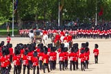 The Colonel's Review 2013.
Horse Guards Parade, Westminster,
London SW1,

United Kingdom,
on 08 June 2013 at 12:10, image #854