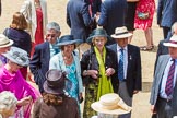 The Colonel's Review 2013.
Horse Guards Parade, Westminster,
London SW1,

United Kingdom,
on 08 June 2013 at 12:21, image #899