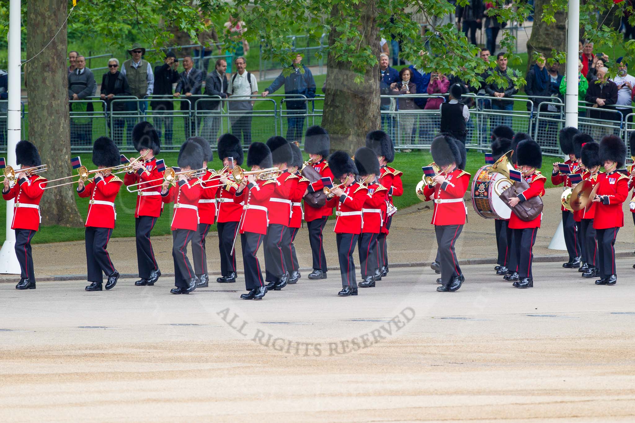 Major General's Review 2013: Musicians of the Band of the Coldstream Guards marching on Horse Guards Road..
Horse Guards Parade, Westminster,
London SW1,

United Kingdom,
on 01 June 2013 at 10:12, image #37