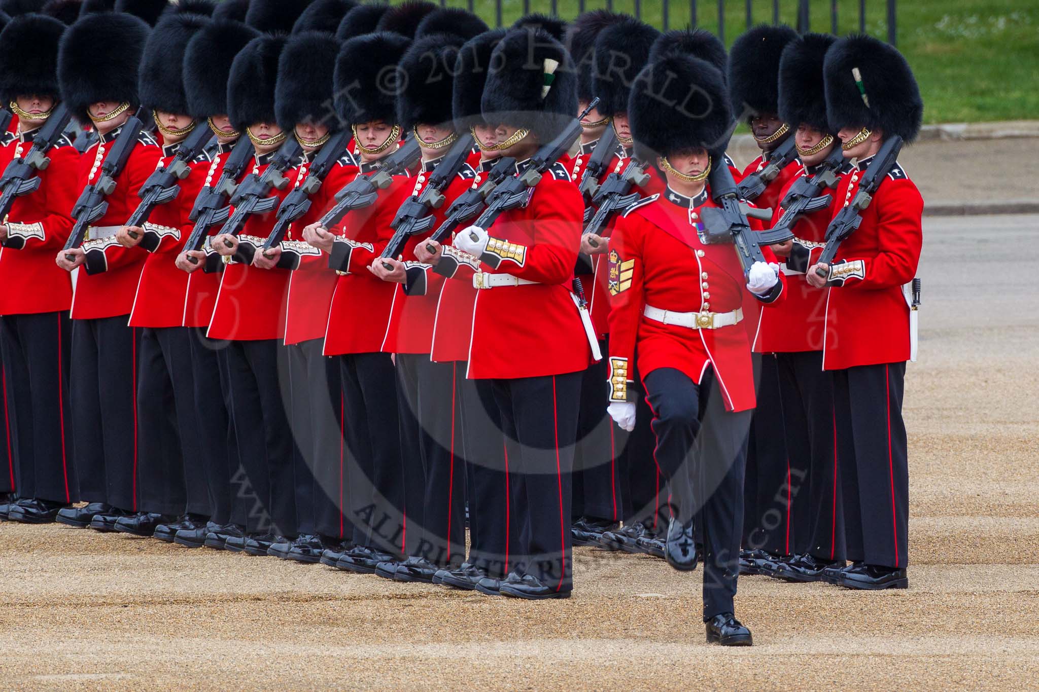 Major General's Review 2013: Colour Sergeant D S Morgan with No. 3 Guard,1st Battalion Welsh Guards..
Horse Guards Parade, Westminster,
London SW1,

United Kingdom,
on 01 June 2013 at 10:28, image #104