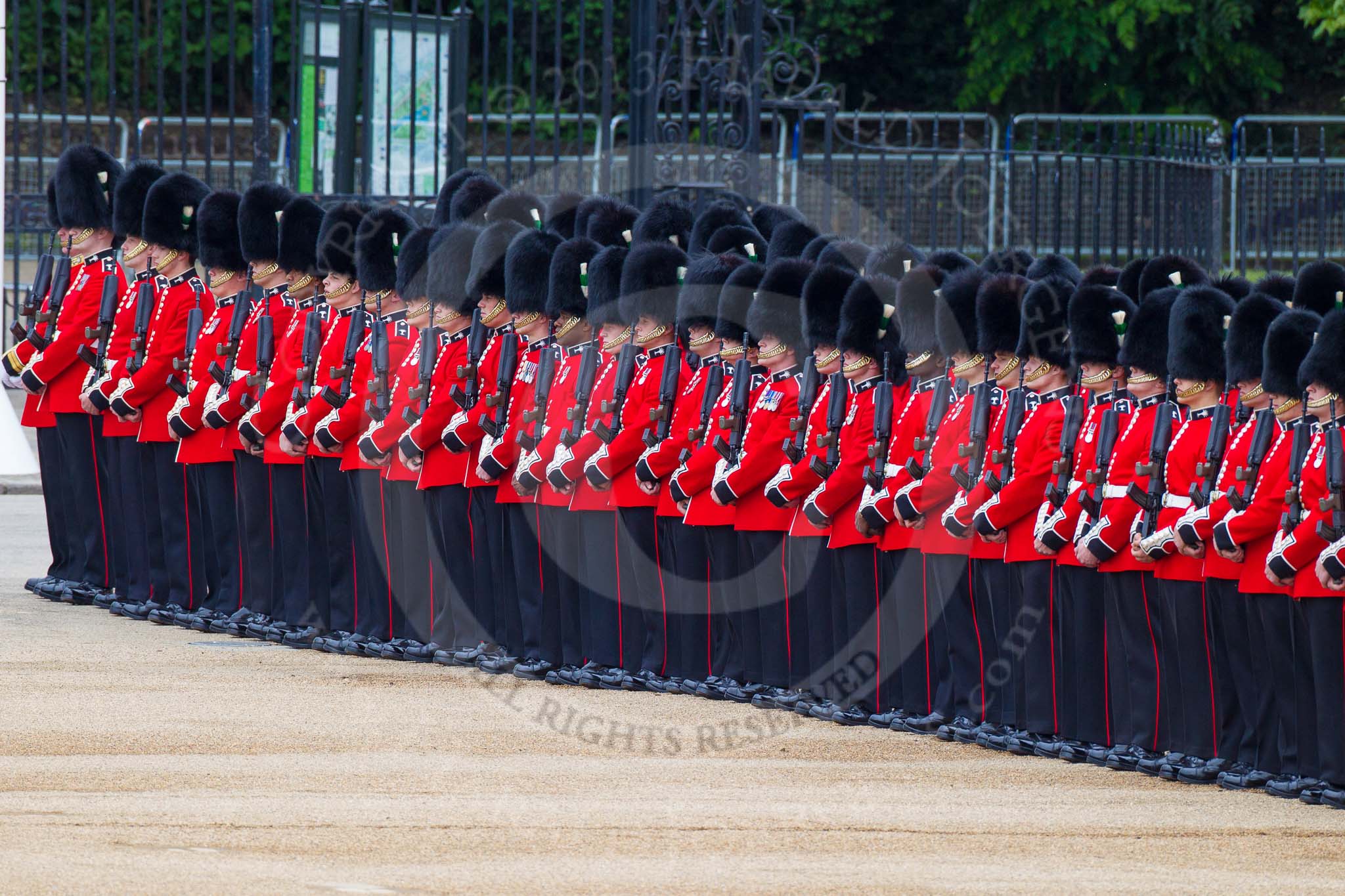 Major General's Review 2013: No.3 Guard, 1st Battalion Welsh Guards..
Horse Guards Parade, Westminster,
London SW1,

United Kingdom,
on 01 June 2013 at 10:34, image #141