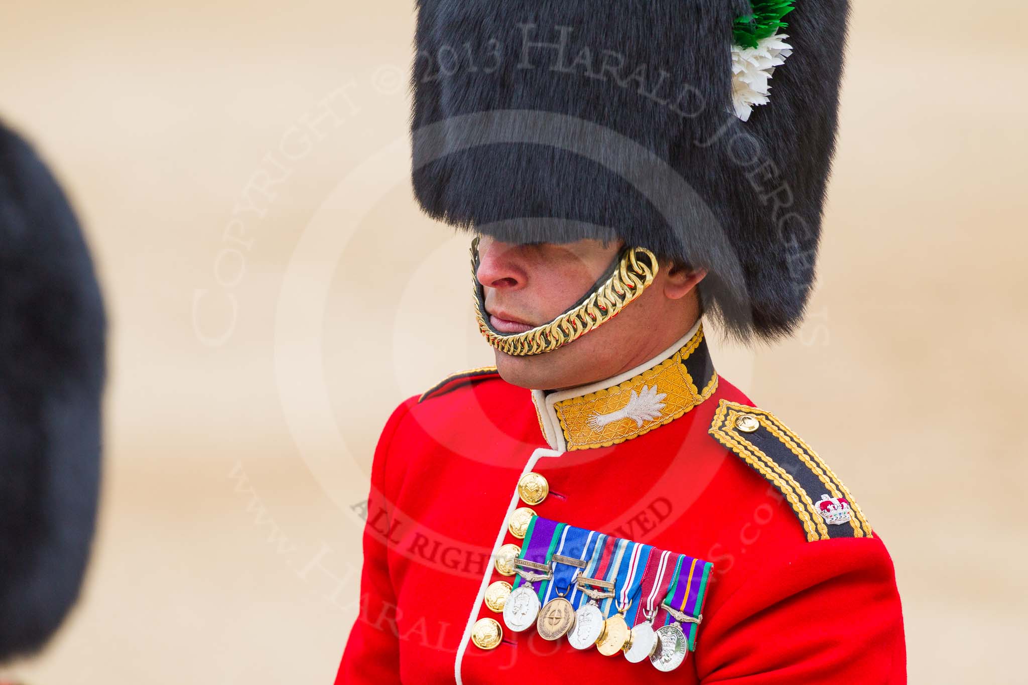 Major General's Review 2013: The Major of the Parade, Major H G C Bettinson, Welsh Guards..
Horse Guards Parade, Westminster,
London SW1,

United Kingdom,
on 01 June 2013 at 10:37, image #155