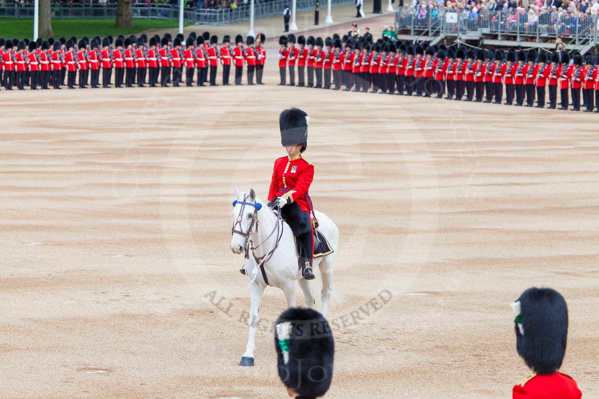 Major General's Review 2013: The Adjutant of the Parade, Captain C J P Davies, Welsh Guards..
Horse Guards Parade, Westminster,
London SW1,

United Kingdom,
on 01 June 2013 at 10:39, image #162