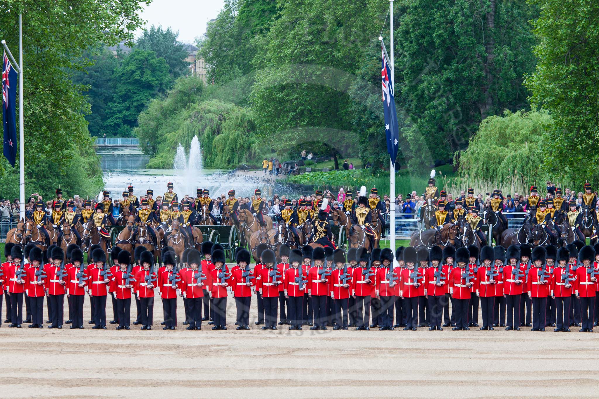 Major General's Review 2013: The King's Troop Royal Horse Artillery, now in psoition at northern side of Horse Guards Parade, with St James's Park in the background..
Horse Guards Parade, Westminster,
London SW1,

United Kingdom,
on 01 June 2013 at 10:39, image #165