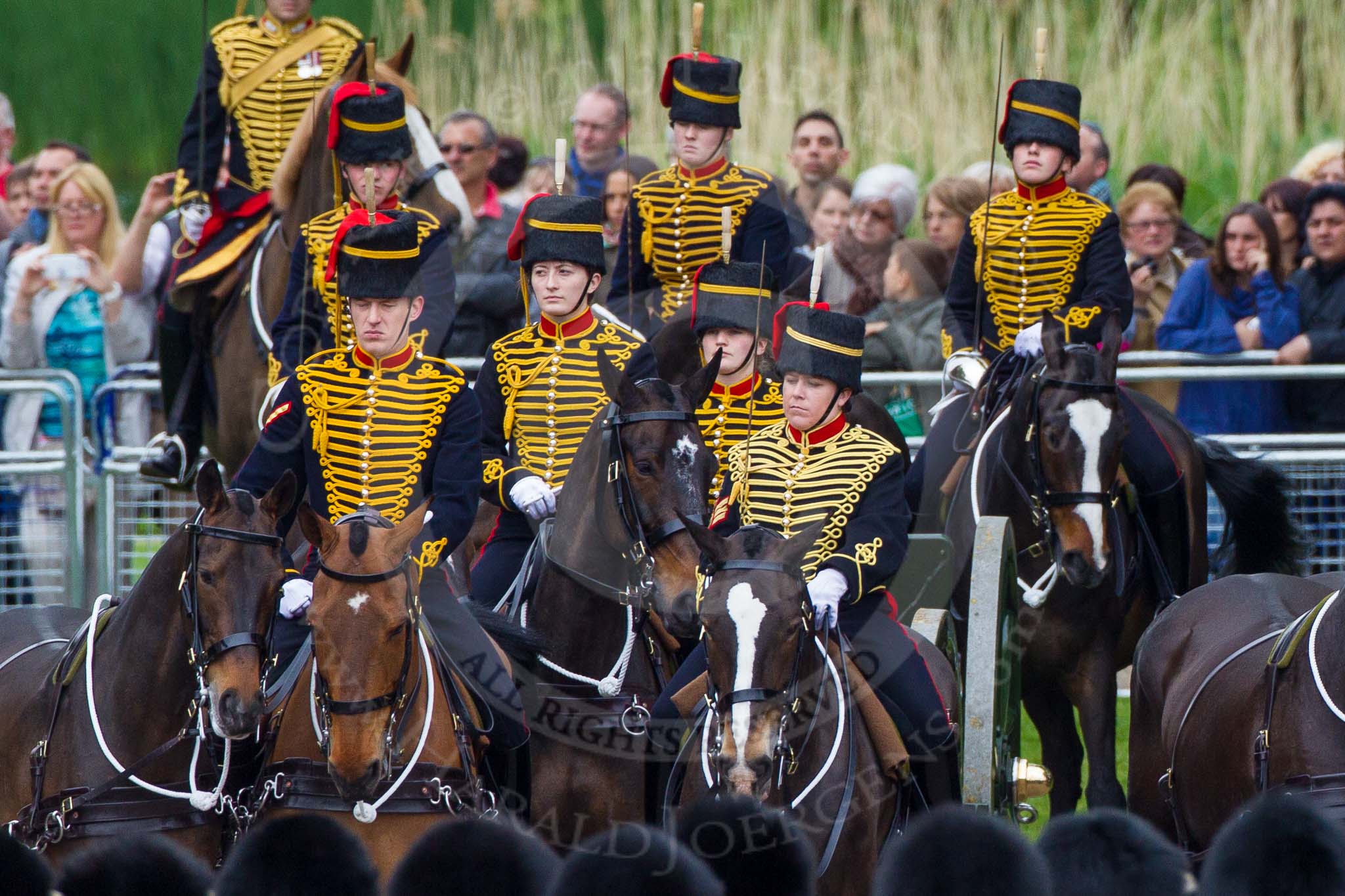 Major General's Review 2013: A closer look at The King's Troop Royal Horse Artillery..
Horse Guards Parade, Westminster,
London SW1,

United Kingdom,
on 01 June 2013 at 10:41, image #173