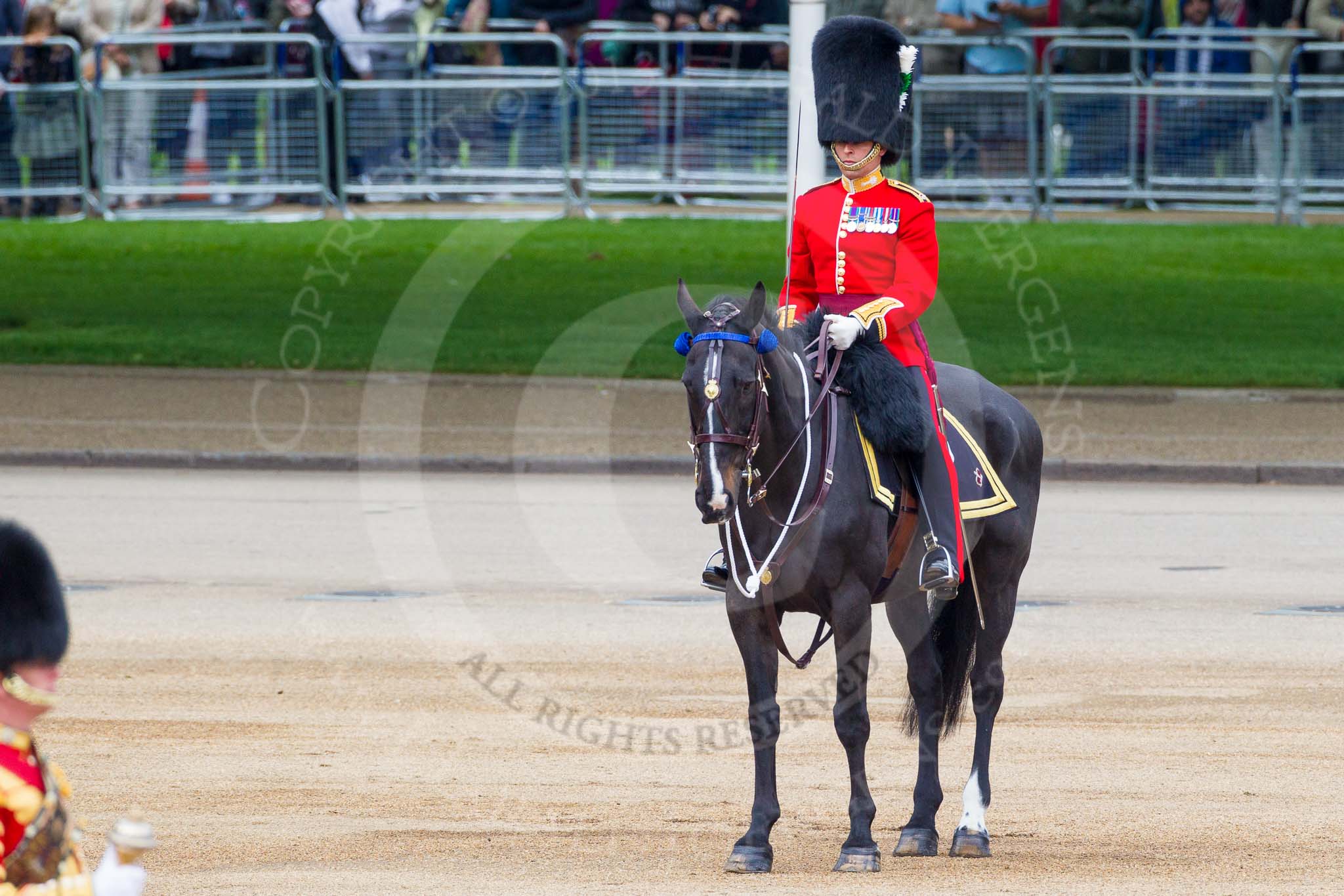 Major General's Review 2013: The Major of the Parade, Major H G C Bettinson, Welsh Guards..
Horse Guards Parade, Westminster,
London SW1,

United Kingdom,
on 01 June 2013 at 10:42, image #174
