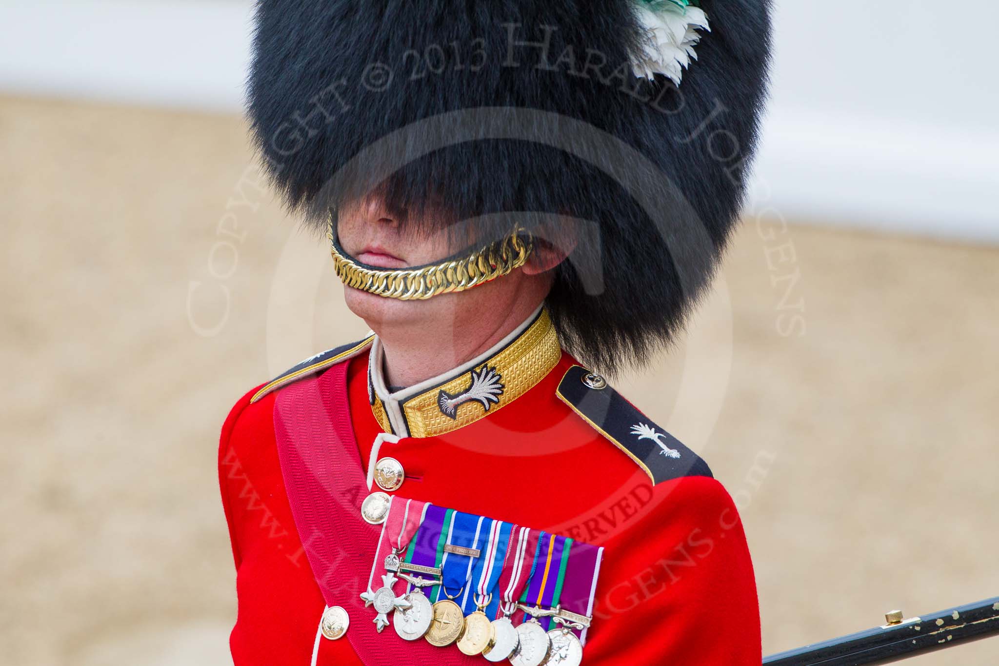 Major General's Review 2013: Close-up of a Welsh Guards officer, acting ass an usher at the event..
Horse Guards Parade, Westminster,
London SW1,

United Kingdom,
on 01 June 2013 at 11:03, image #298